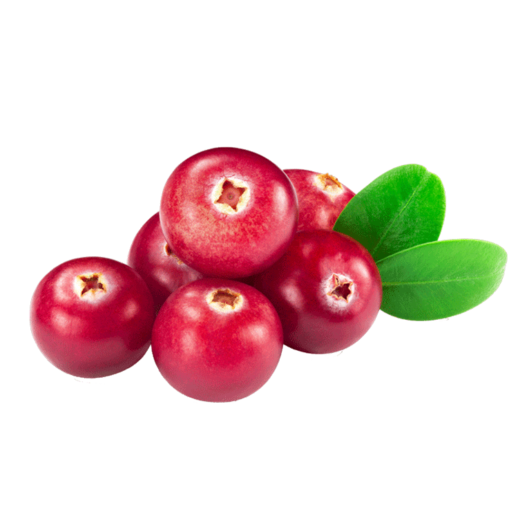 cranberries_wholesale